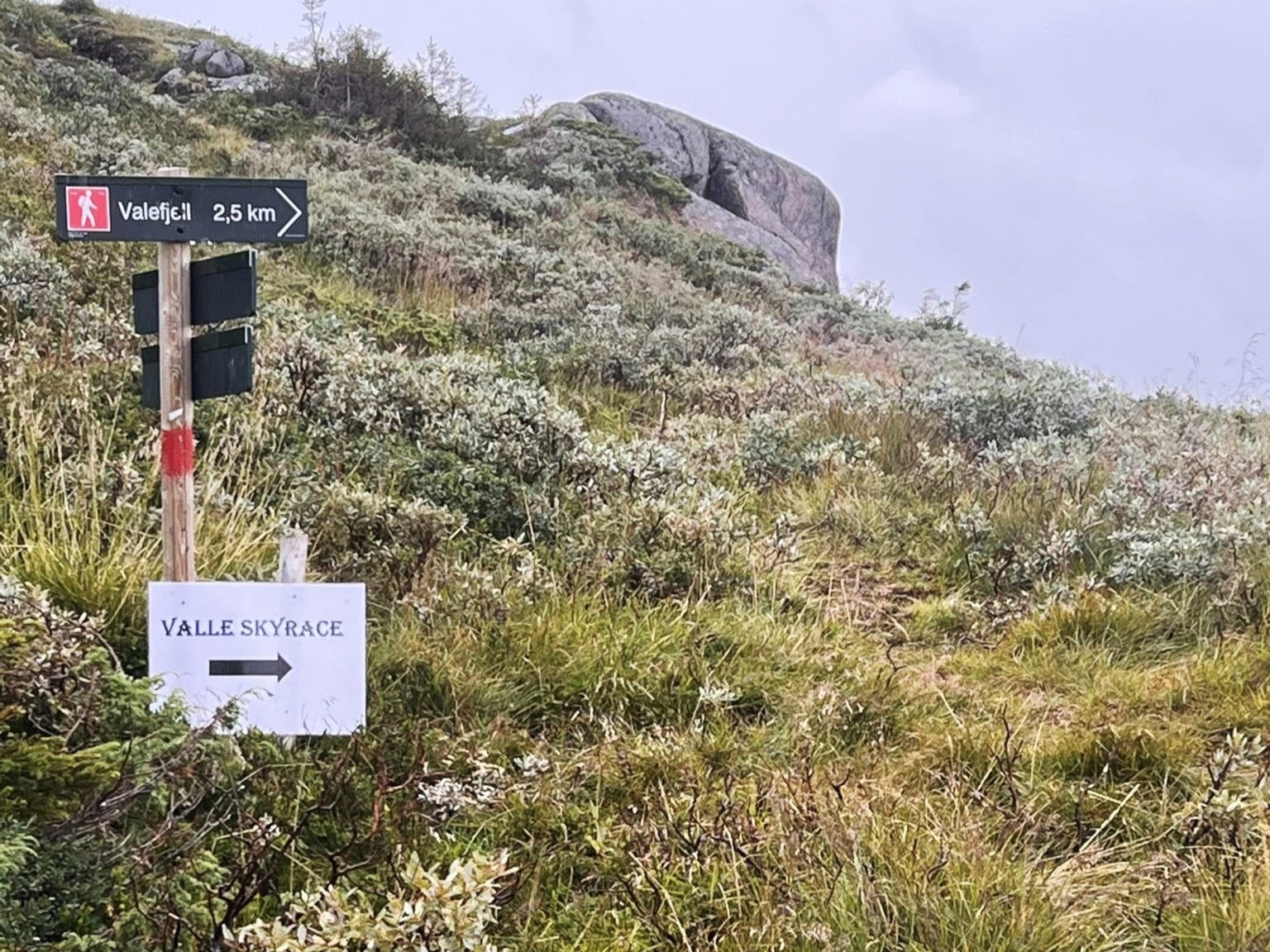 Felix fullførte tøff 43 km i Valle Skyrace, Anders måtte bokføre DNF på 86 km